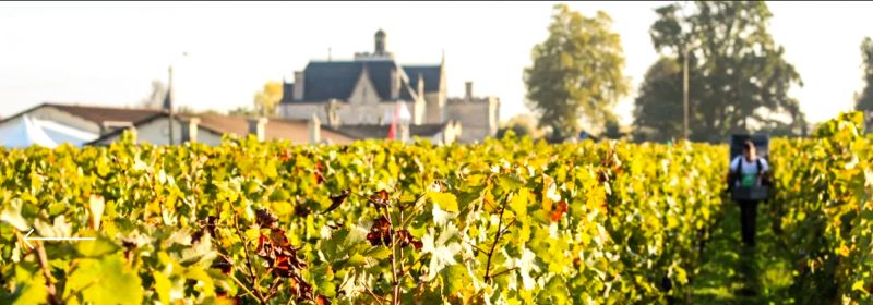 Martel AG - Château Pape-Clément