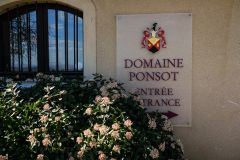 Martel Domaine Ponsot