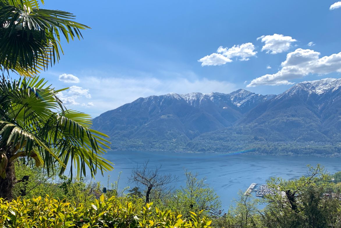 Weine aus der Region Tessin