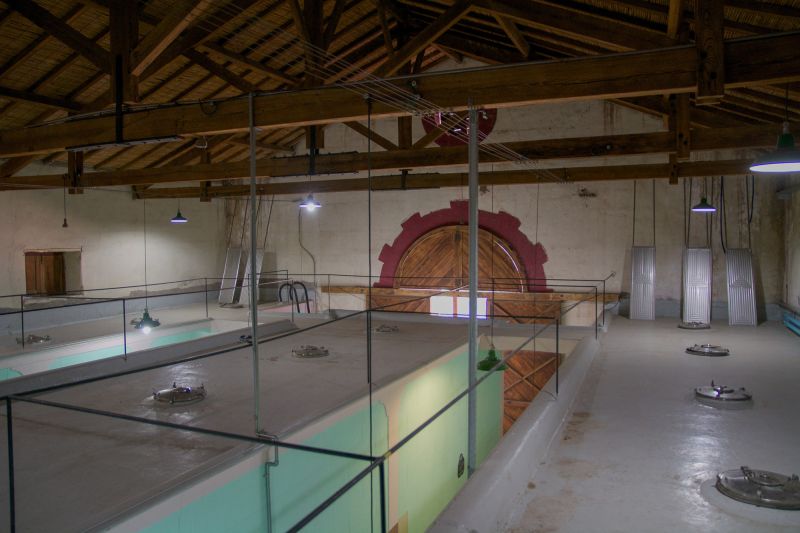 Martel Bodega Altocedro