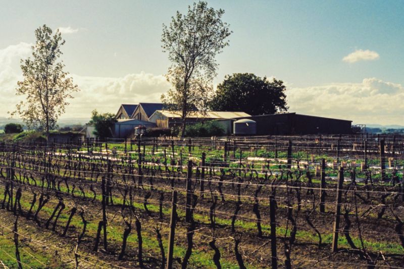 Weine aus der Region Victoria