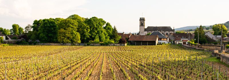 Martel AG - Courcel