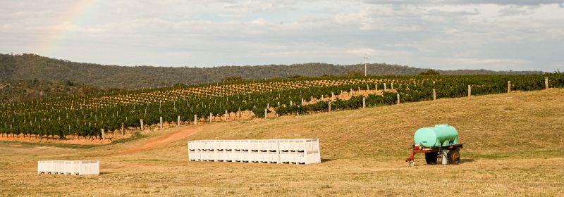 Martel AG - Dalwhinnie Wines Pty Ltd