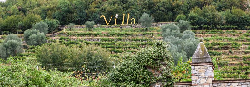 Martel AG - Villa