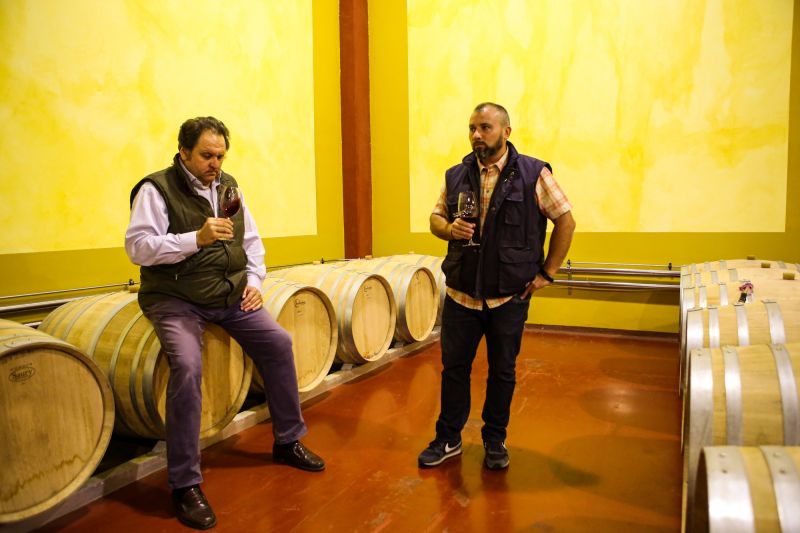 Winzer Bodegas y Viñedos del Jaro