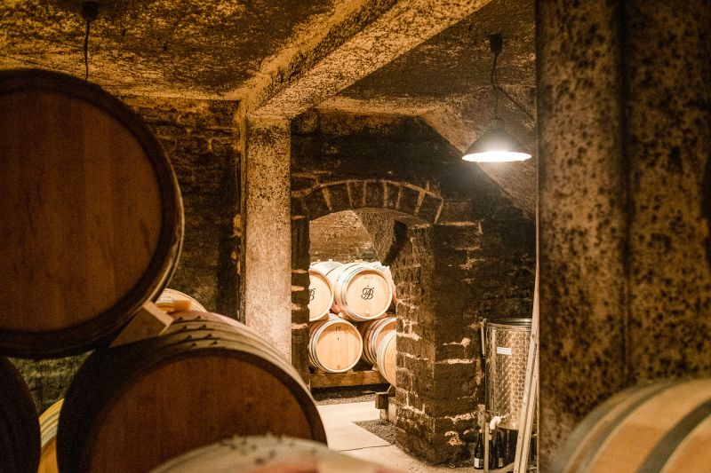 Weingut Domaine Alain Burguet