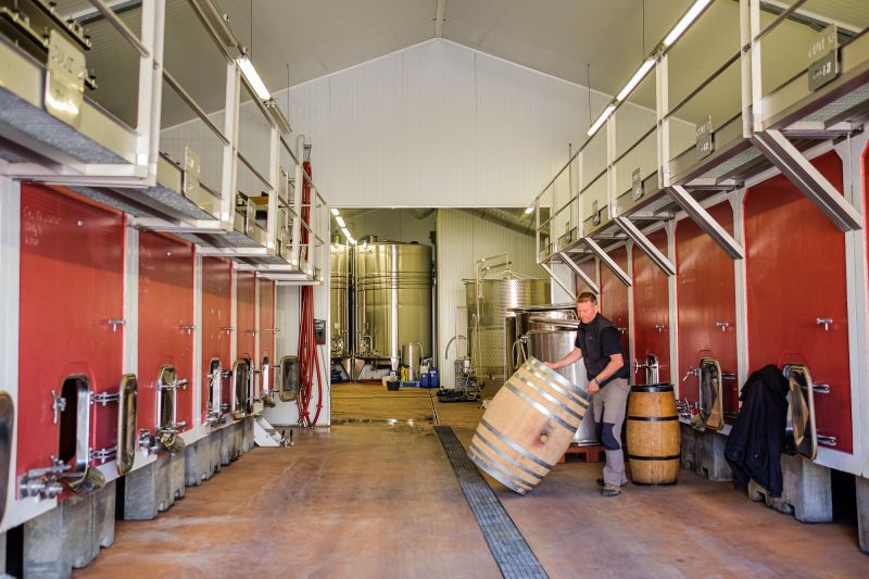Weine Domaine Darnaud