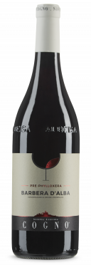 Barbera d'Alba DOC 2023 Azienda Agricola Cogno