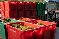 Weingut Weingut Bründlmayer