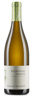 Aligoté 2023