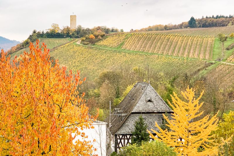 Weine Weingut Robert Weil
