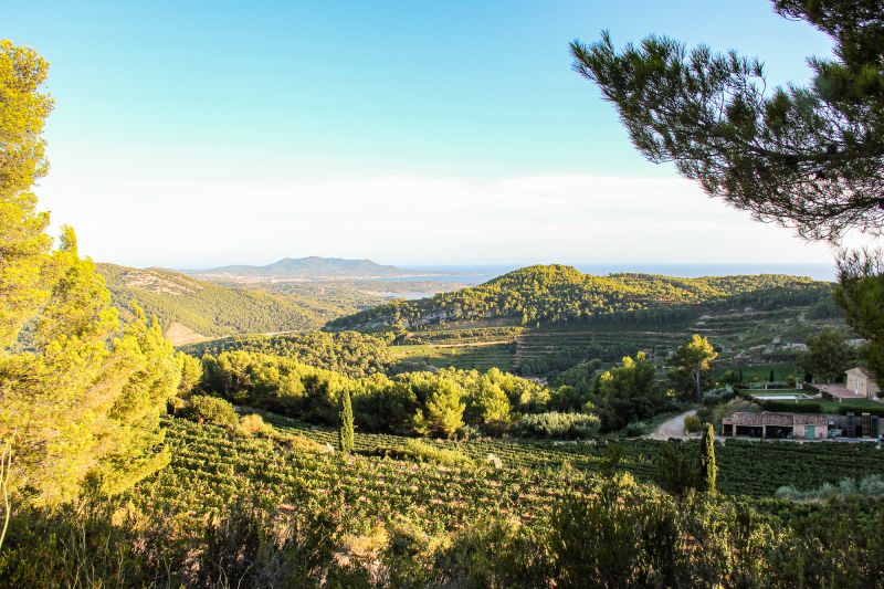 Weine Bandol