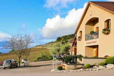 Weingut Domaine Ponsot