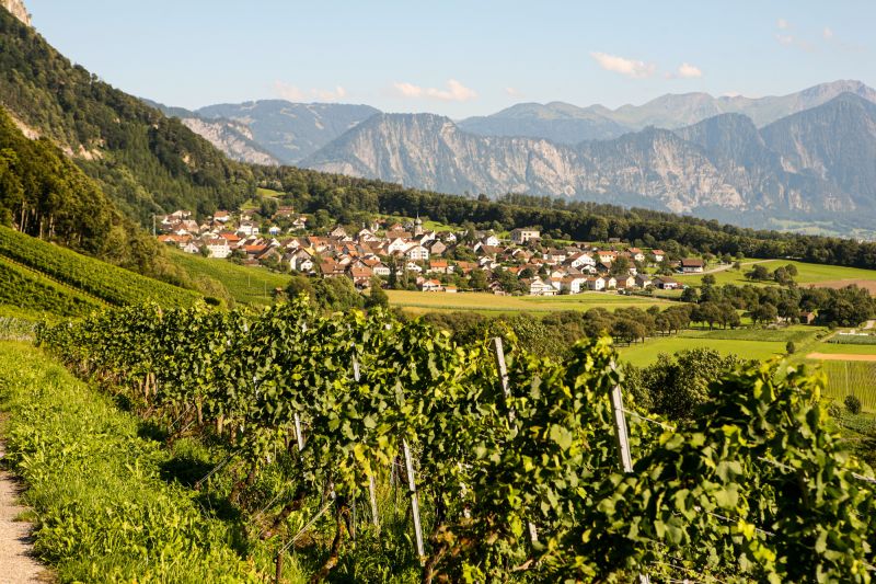 Weine Bündner Herrschaft