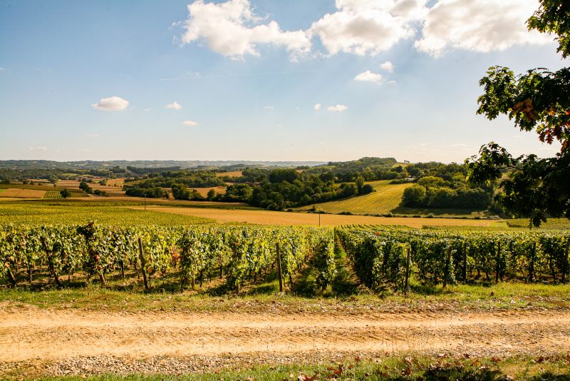 Weine aus der Region Sud-Ouest