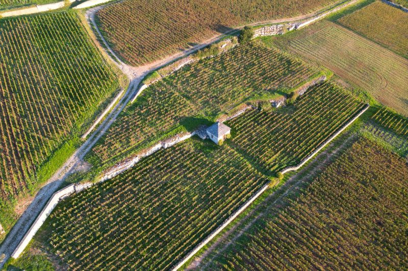 Martel Vignoble des Cabottes