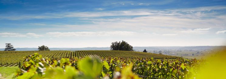 Martel AG - Château Pavie