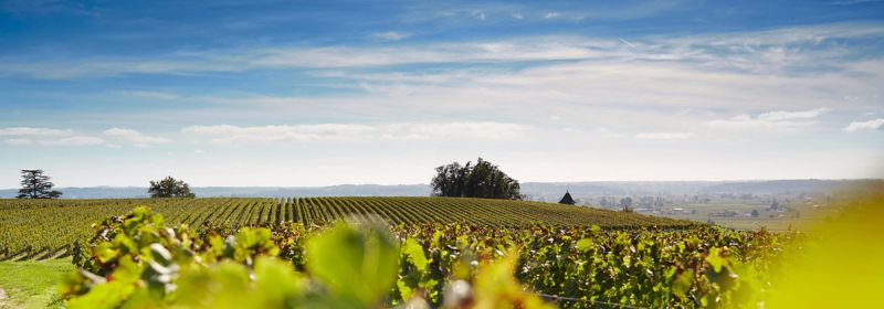 Martel AG - Château Pavie