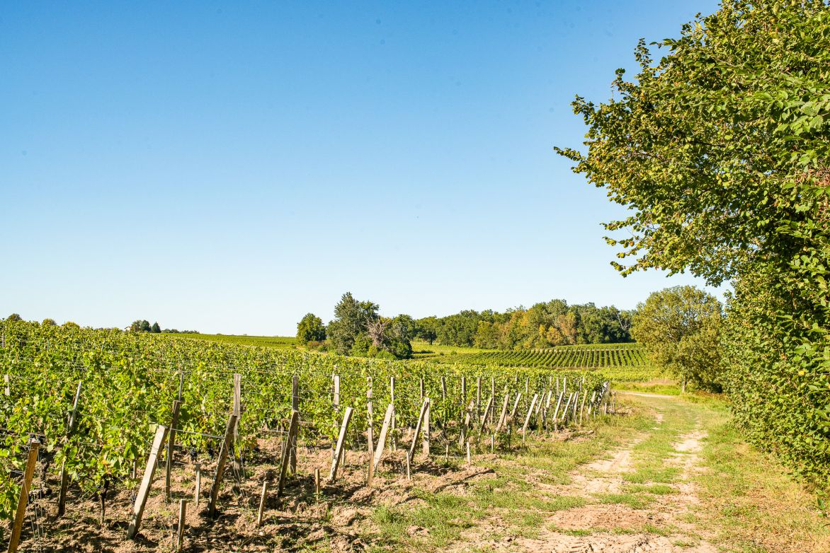 Weine Lalande de Pomerol