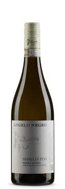 Roero Arneis DOCG 2023 Negro Angelo