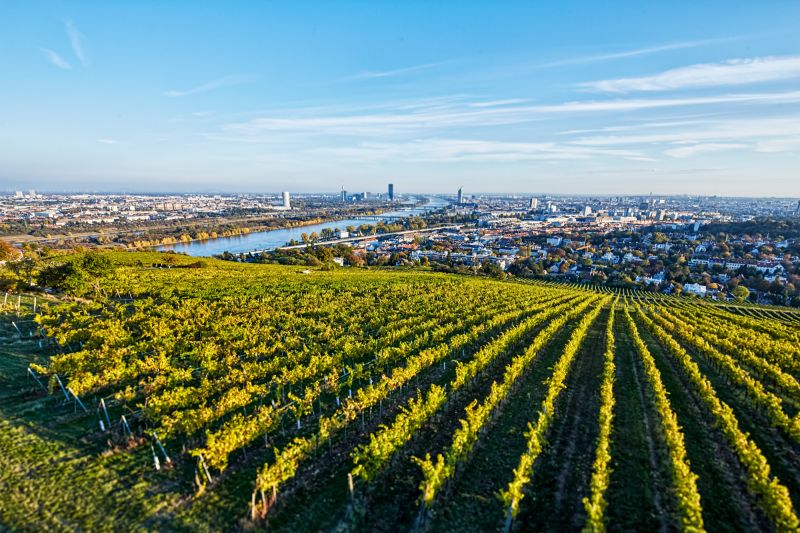 Weine Wien