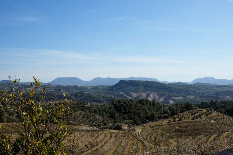 Weine Priorat