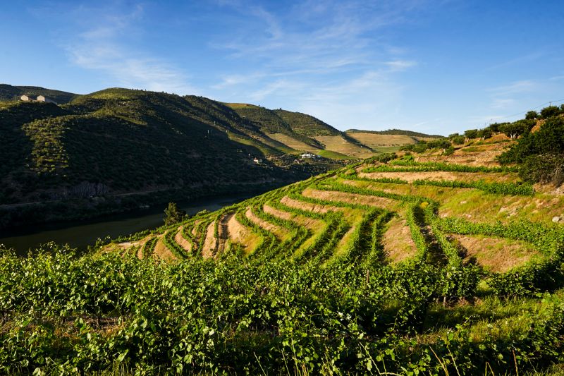Wein Portugal