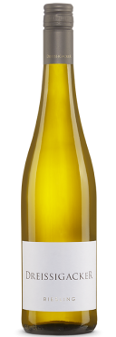 Dreissigacker Riesling 2024 Weingut Dreissigacker