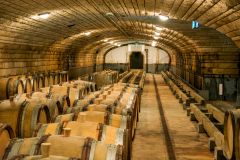 Weingut Domaine William Fèvre