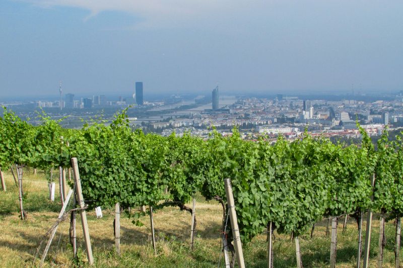Weine Wien