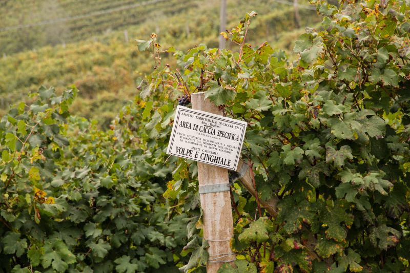Weingut Poderi Marcarini