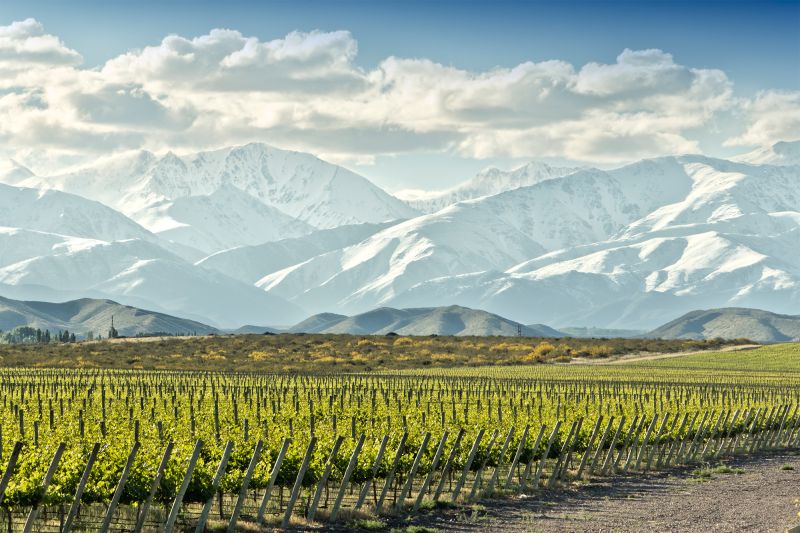 Weine Argentinien