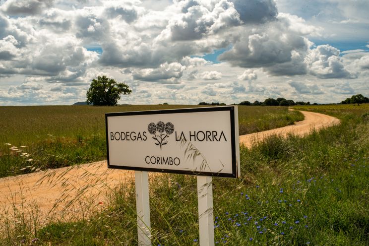 Martel Bodegas La Horra