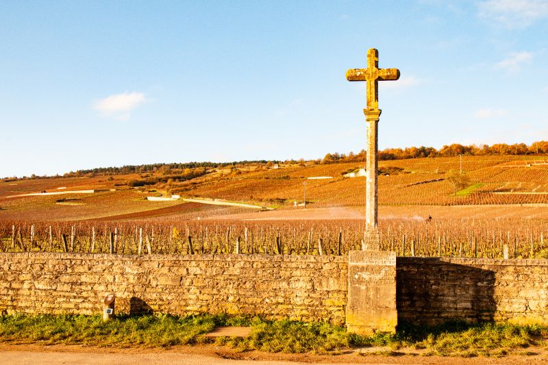 Weine Domaine de la Romanée-Conti