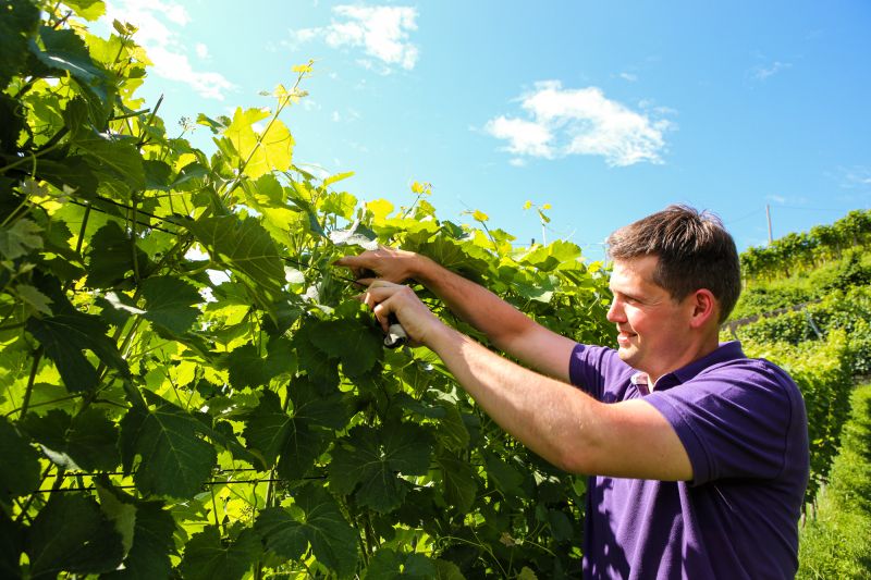 Donatsch - Chardonnay Passion