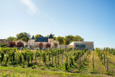 Weine aus der Region Bordeaux