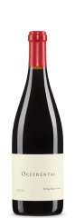 Bodega Ridge Vineyard