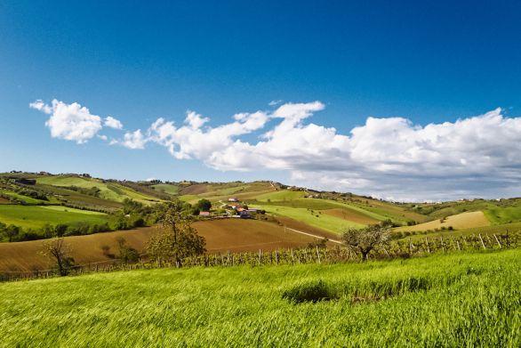 Weine aus der Region Abruzzen