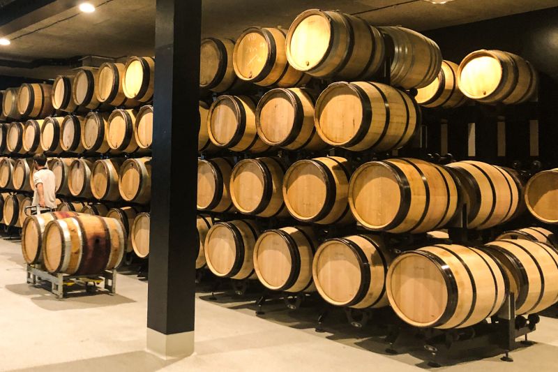 Martel Domaine des Landions