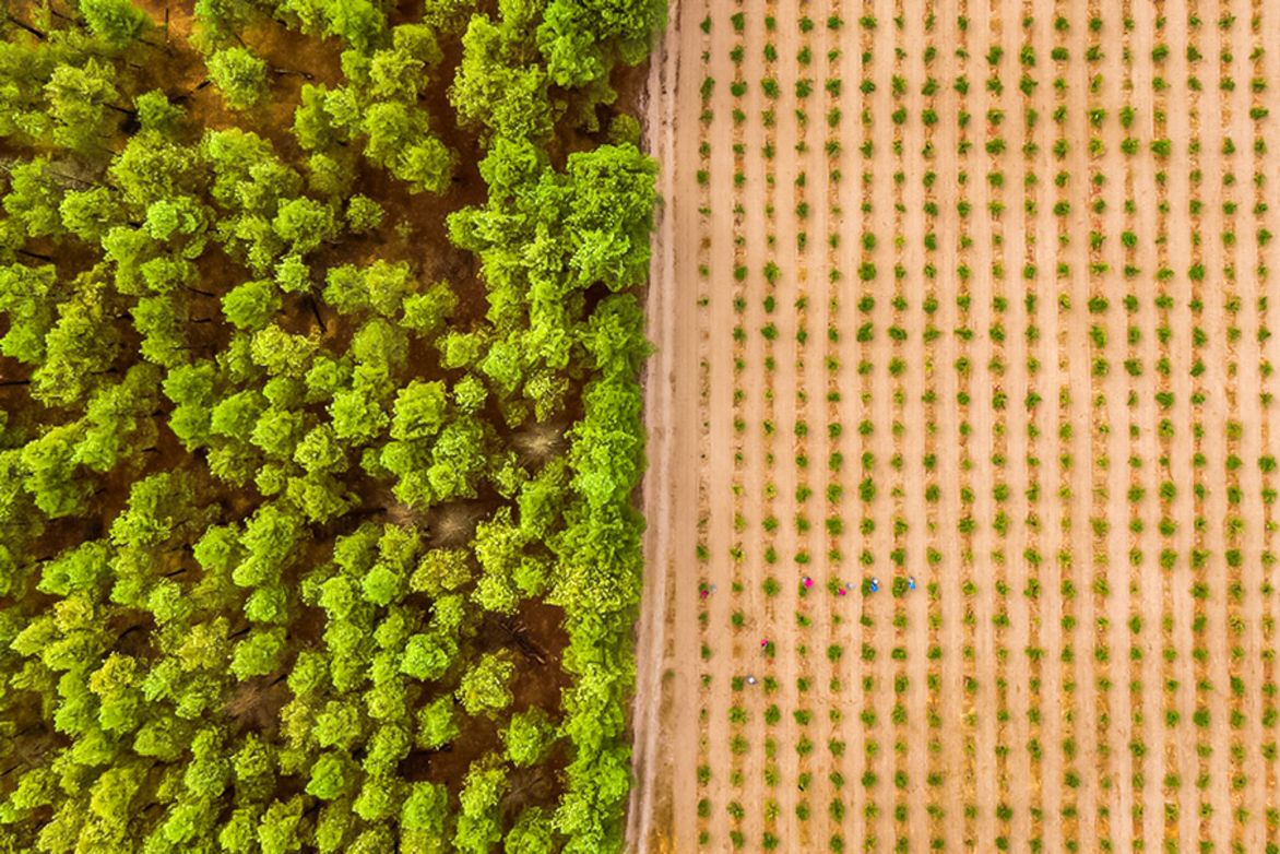 Weine aus der Region Rueda