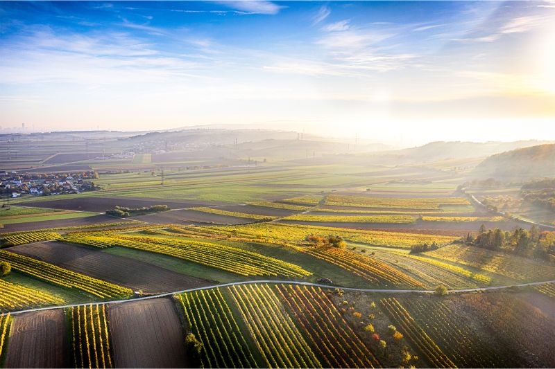 Weine Österreich