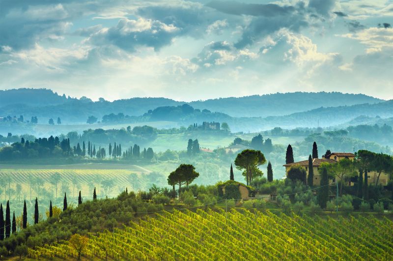 Weine Italien
