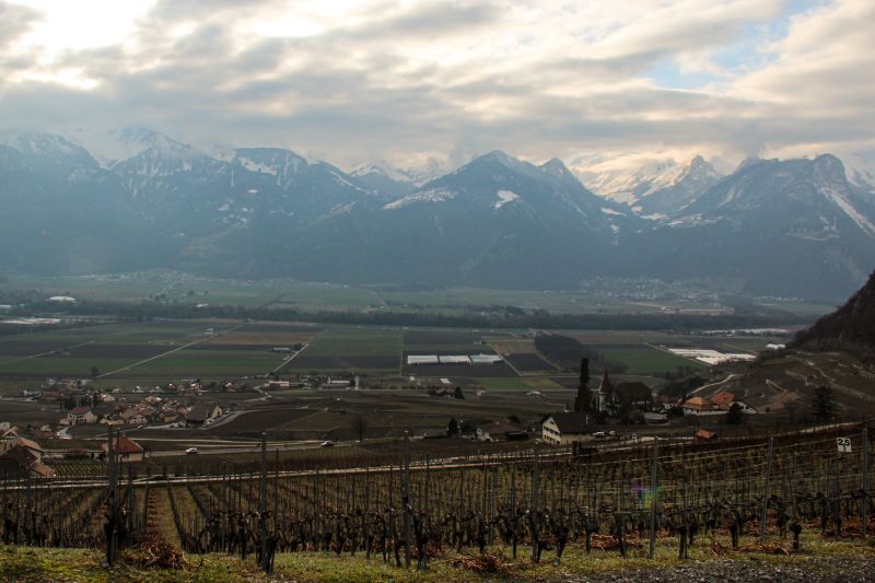 Winzer Commune d'Yvorne