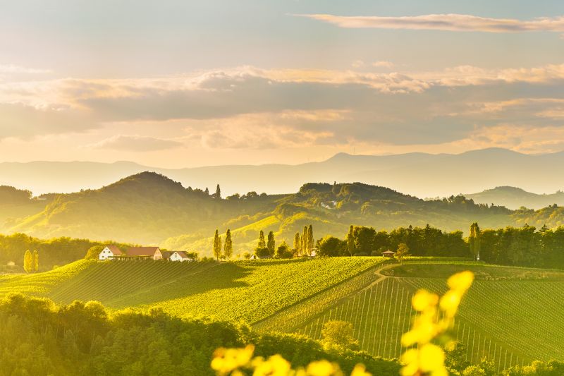 Weine Österreich
