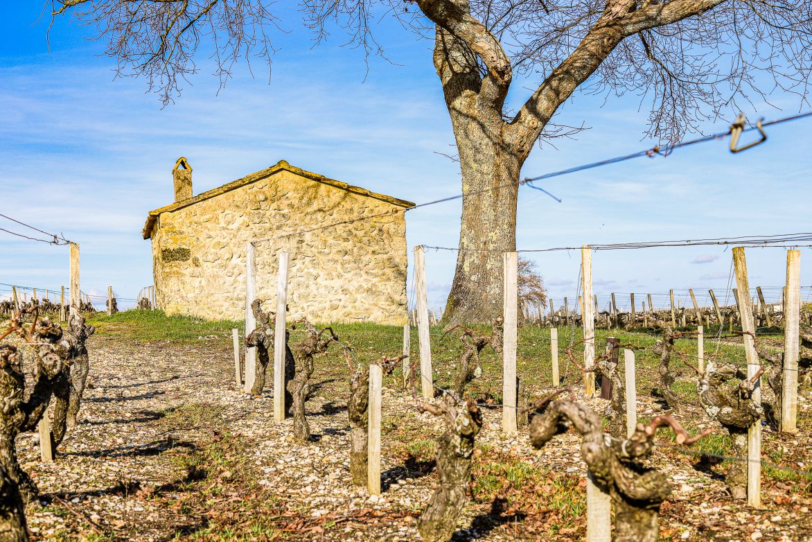 Martel Château Sociando-Mallet