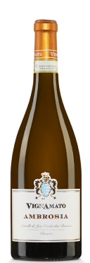 Verdicchio dei Castelli di Jesi Ambrosia 2022 Vignamato