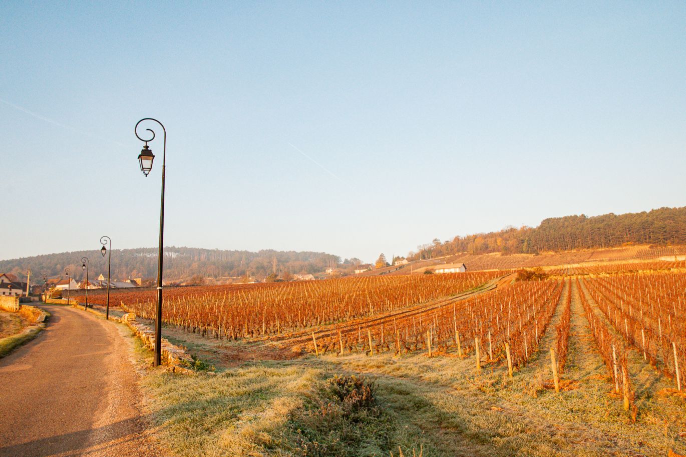 Weine Côte de Beaune