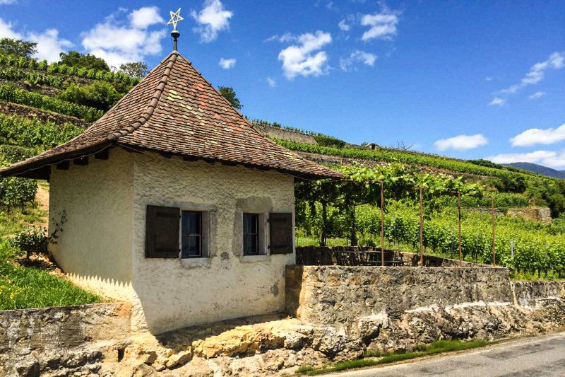 Weine Neuenburg