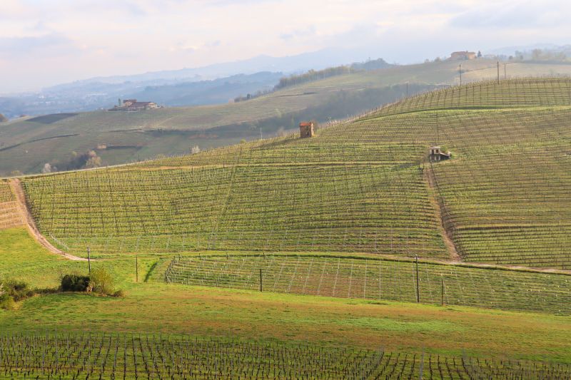 Weingut Poderi Marcarini