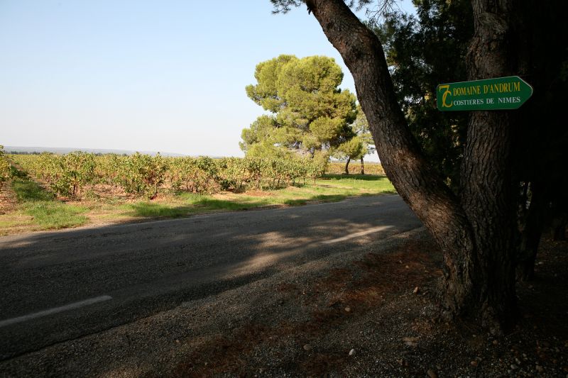 Martel Domaine Rostaing
